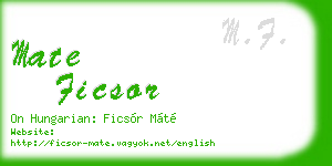 mate ficsor business card